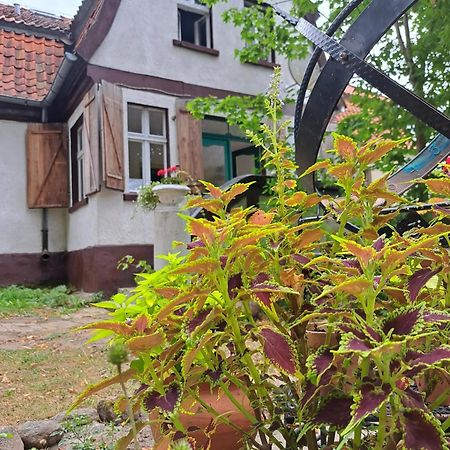 Dom Na Mazurach Pilec Bed and Breakfast Exteriör bild